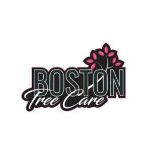 Boston Tree Care